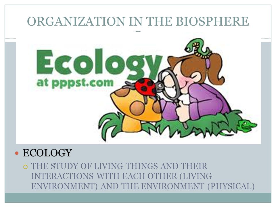 ECOLOGY  THE STUDY OF LIVING THINGS AND THEIR INTERACTIONS WITH EACH OTHER (LIVING ENVIRONMENT) AND THE ENVIRONMENT (PHYSICAL)