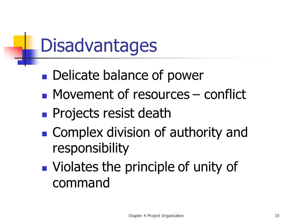 advantages and disadvantages of unity of command