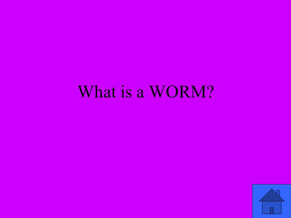 What is a WORM