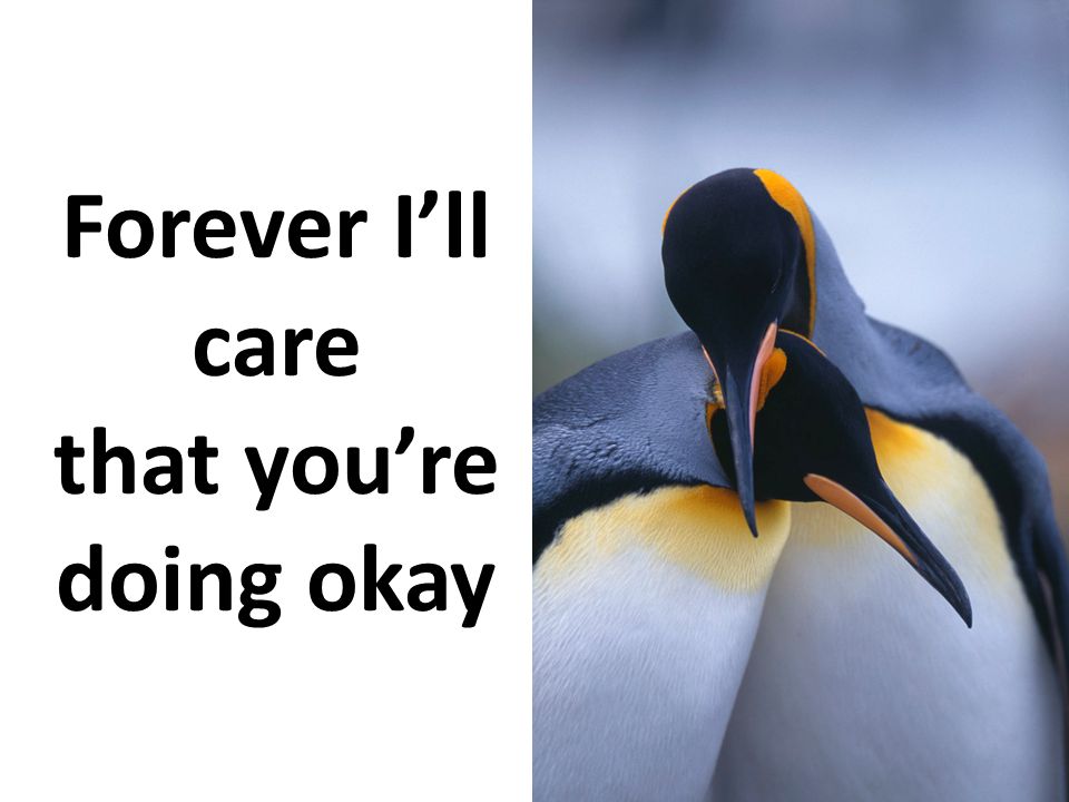 Forever I’ll care that you’re doing okay