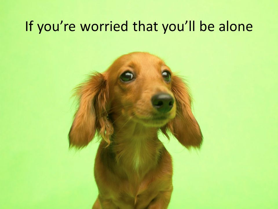 If you’re worried that you’ll be alone