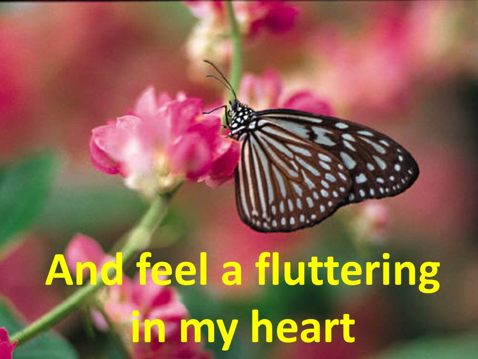 And feel a fluttering in my heart