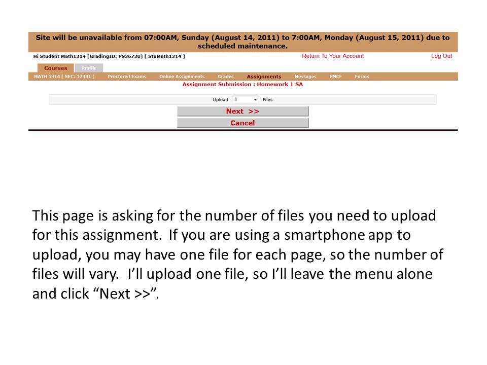 This page is asking for the number of files you need to upload for this assignment.