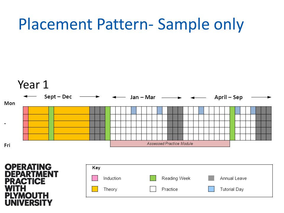 Placement Pattern- Sample only Year 1 Sept – Dec Key InductionReading Week Annual Leave Theory Practice Tutorial Day Jan – MarApril – Sep Mon - Fri Assessed Practice Module