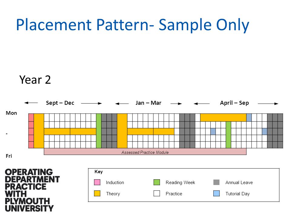 Placement Pattern- Sample Only Year 2 Sept – DecJan – MarApril – Sep Mon - Fri Assessed Practice Module Key InductionReading Week Annual Leave Theory Practice Tutorial Day
