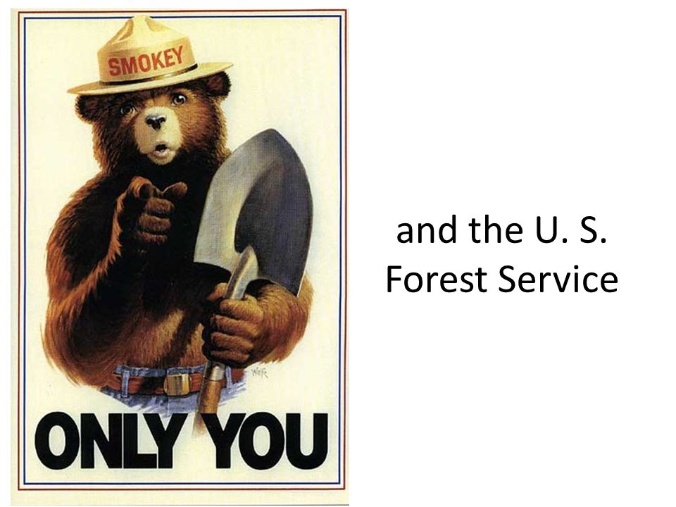and the U. S. Forest Service