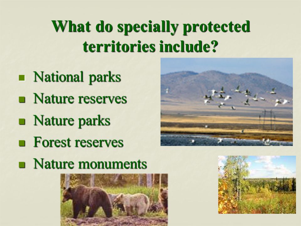 What do specially protected territories include.