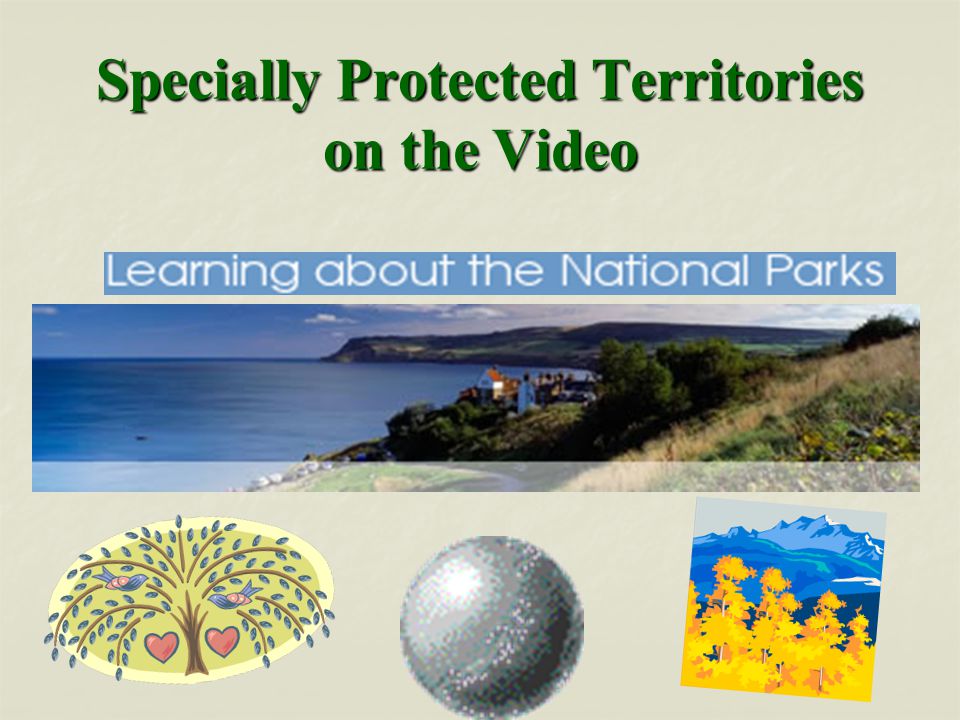 Specially Protected Territories on the Video