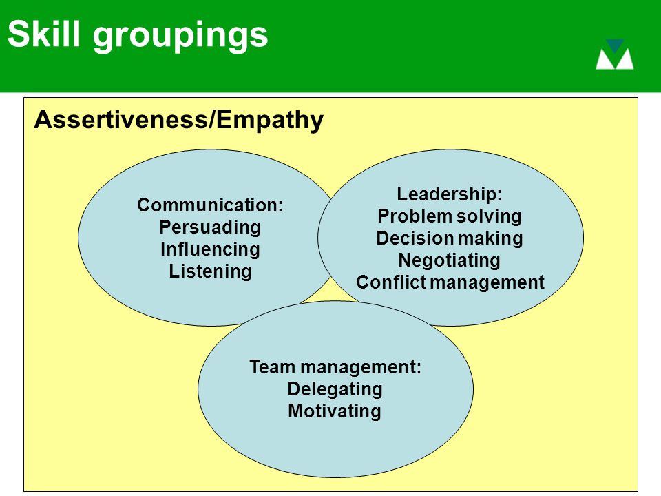 Skill groupings Communication: Persuading Influencing Listening Leadership: Problem solving Decision making Negotiating Conflict management Team management: Delegating Motivating Assertiveness/Empathy