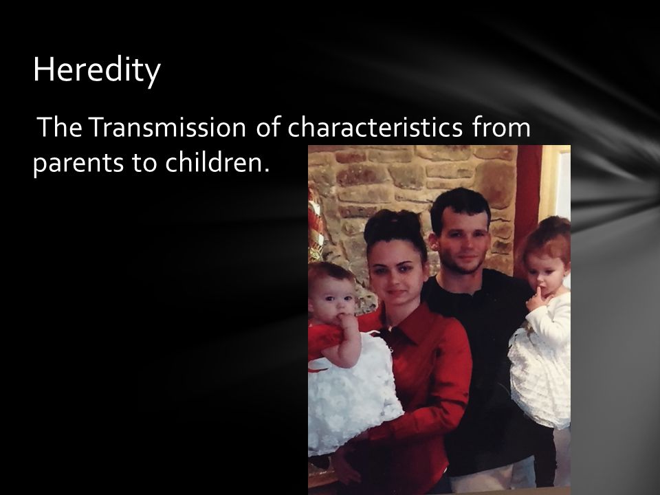 The Transmission of characteristics from parents to children. Heredity