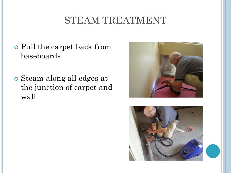 VACUUM THE CARPET Thoroughly vacuum the carpet areas Can occur before or after the heat treatment Dispose of the vacuum bag