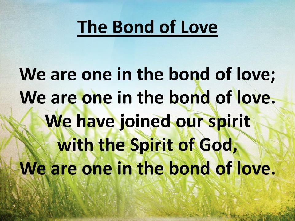The Bond of Love We are one in the bond of love; We are one in the bond of love.