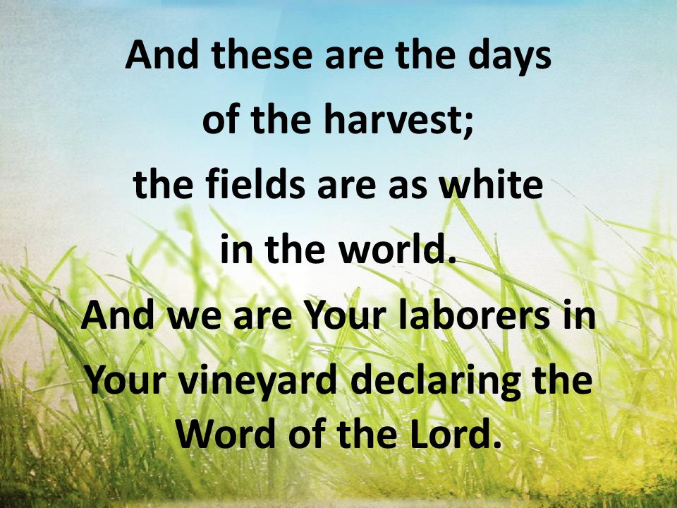 And these are the days of the harvest; the fields are as white in the world.