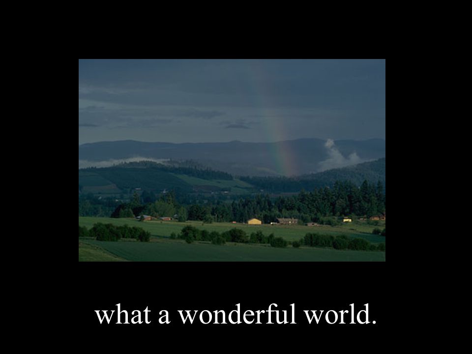 what a wonderful world.