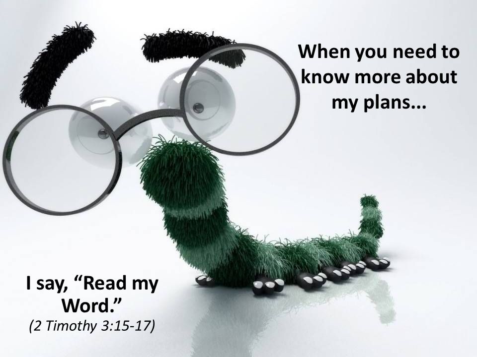 When you need to know more about my plans... I say, Read my Word. (2 Timothy 3:15-17)
