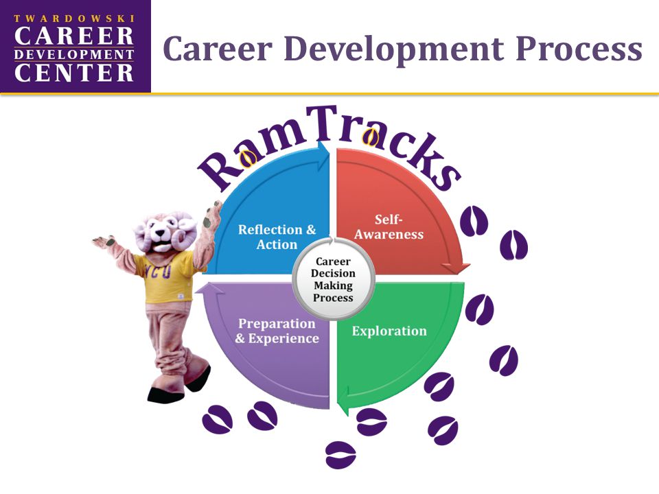 Career Development Process