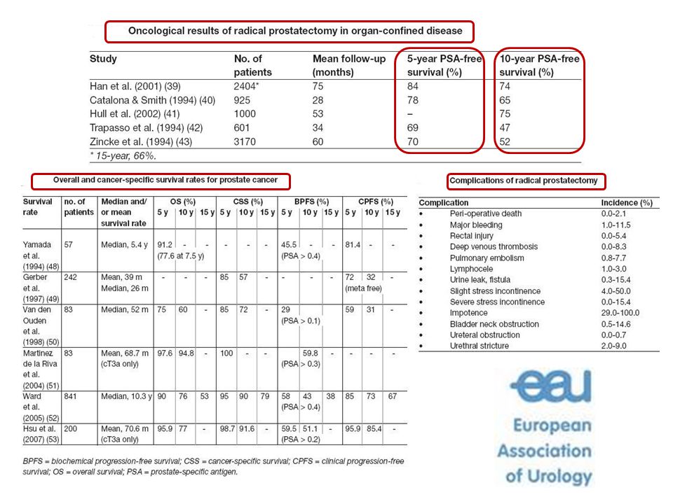 adenocarcinoma prostatico grade 3 worksheets