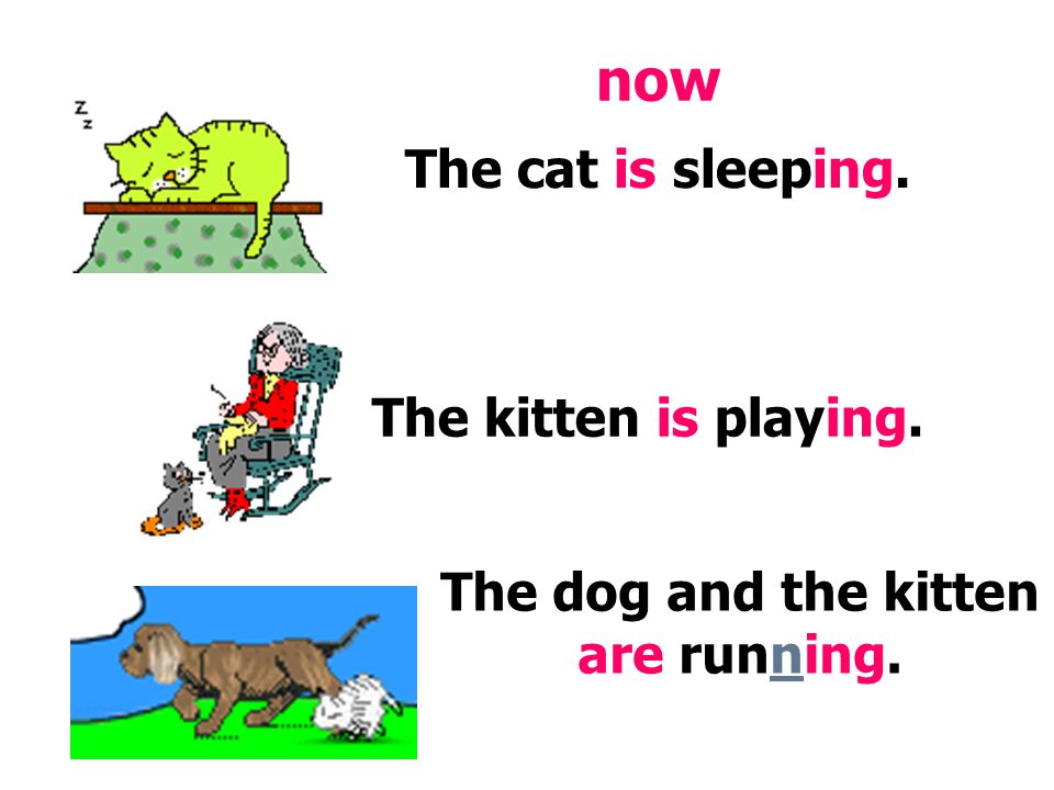 The cat is sleeping. The kitten is playing. The dog and the kitten are running. now