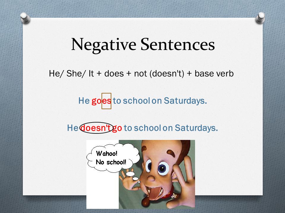 Negative Sentences He/ She/ It + does + not (doesn t) + base verb He goes to school on Saturdays.