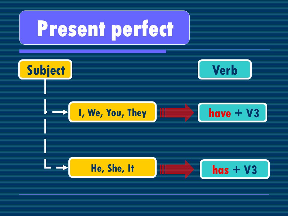 Present perfect SubjectVerb I, We, You, They He, She, It have + V3 has + V3