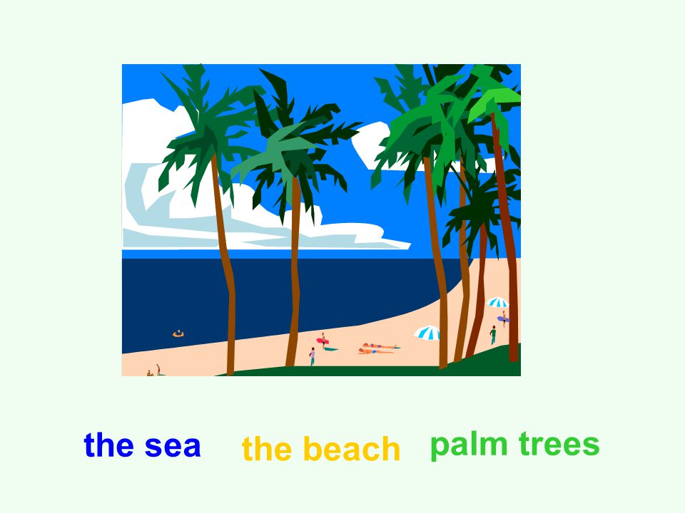the sea the beach palm trees