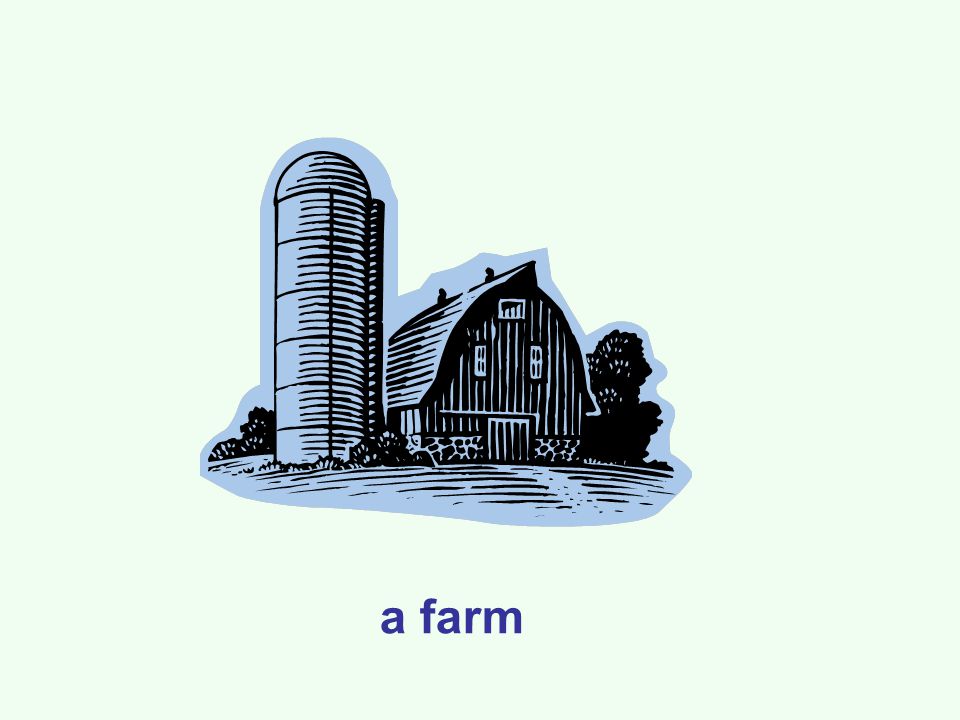 a farm