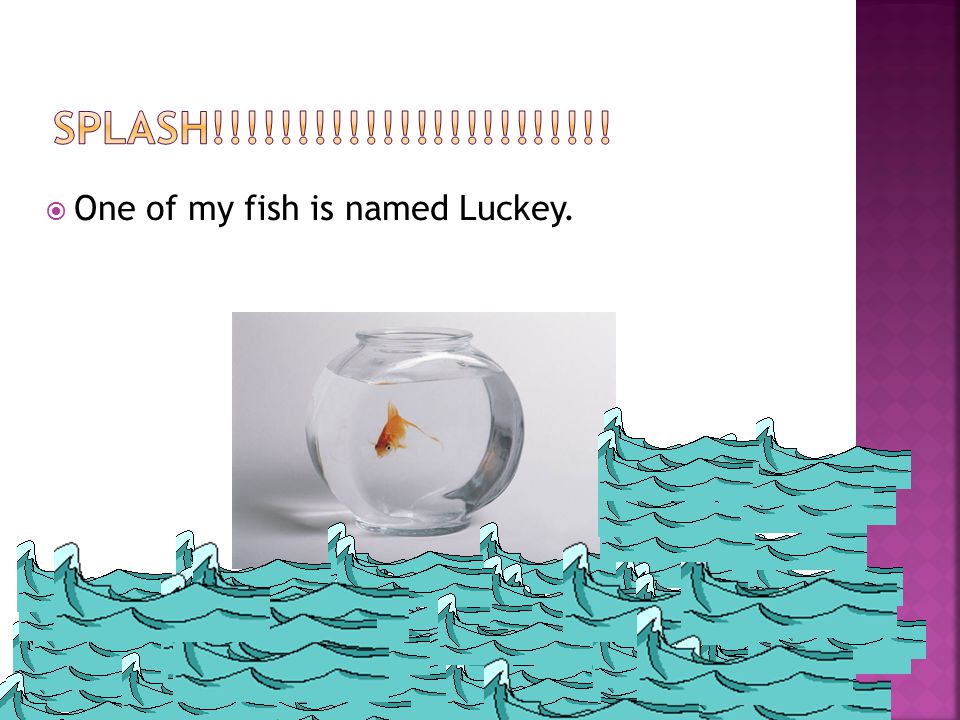  One of my fish is named Luckey.