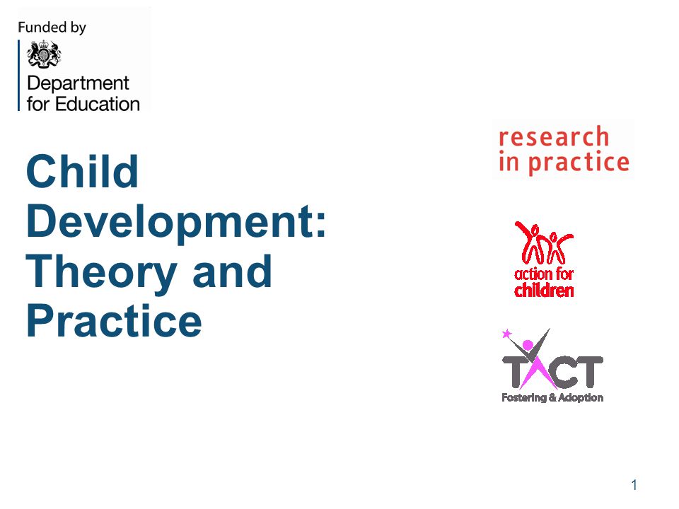 importance of theory in social work practice