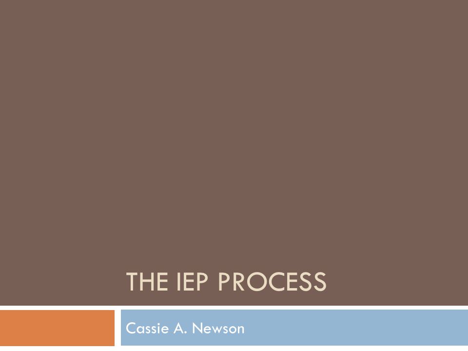 THE IEP PROCESS Cassie A. Newson