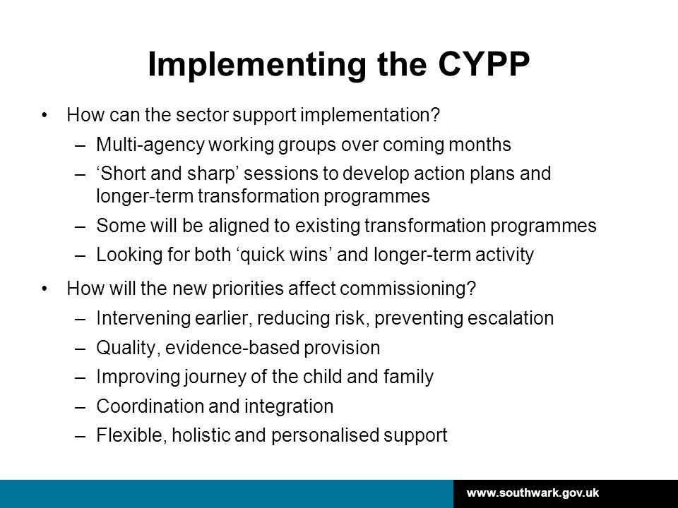 Implementing the CYPP How can the sector support implementation.