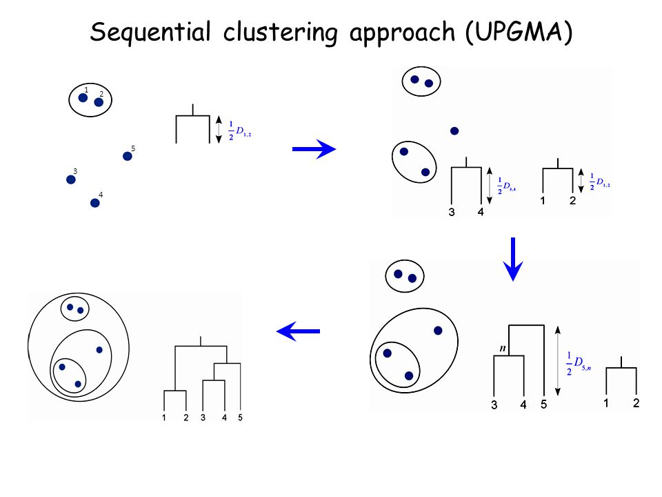 Sequential clustering approach (UPGMA)