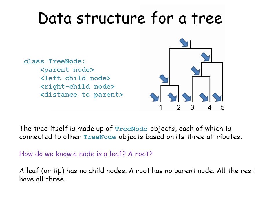 class TreeNode: The tree itself is made up of TreeNode objects, each of which is connected to other TreeNode objects based on its three attributes.