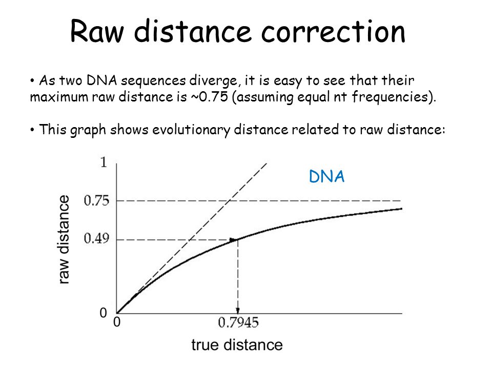 Raw distance correction DNA As two DNA sequences diverge, it is easy to see that their maximum raw distance is ~0.75 (assuming equal nt frequencies).