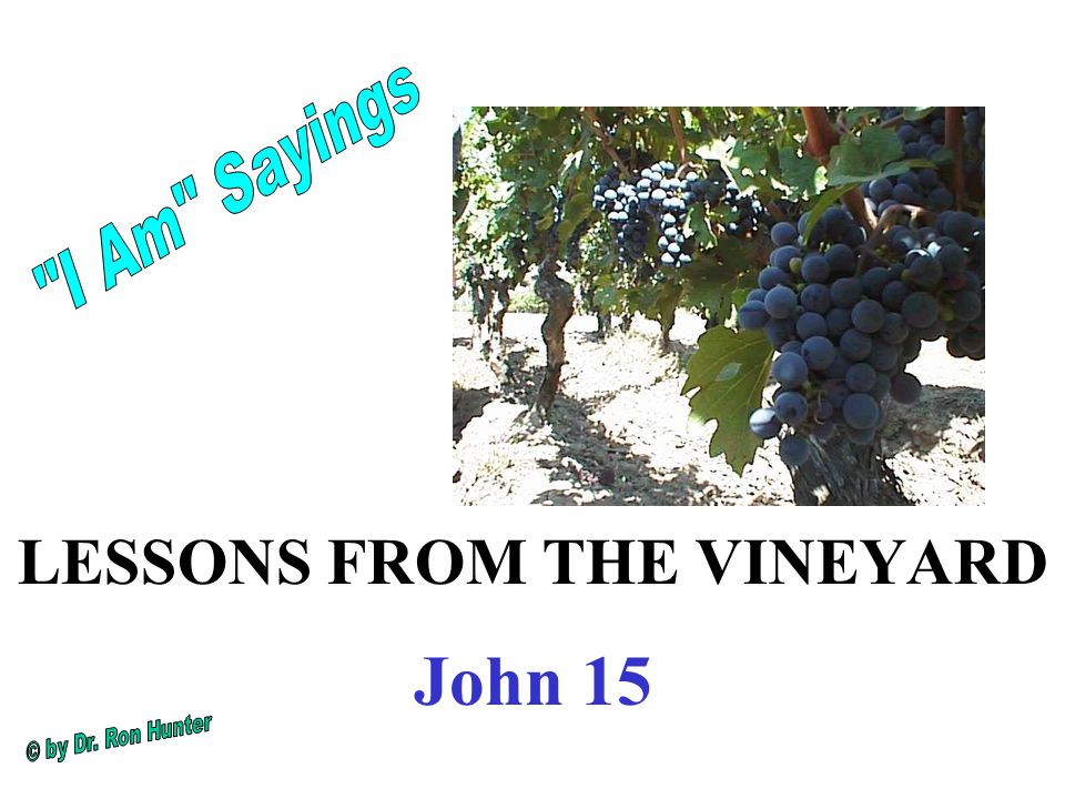 LESSONS FROM THE VINEYARD John 15