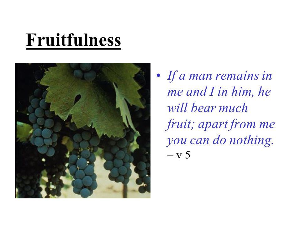 Fruitfulness If a man remains in me and I in him, he will bear much fruit; apart from me you can do nothing.