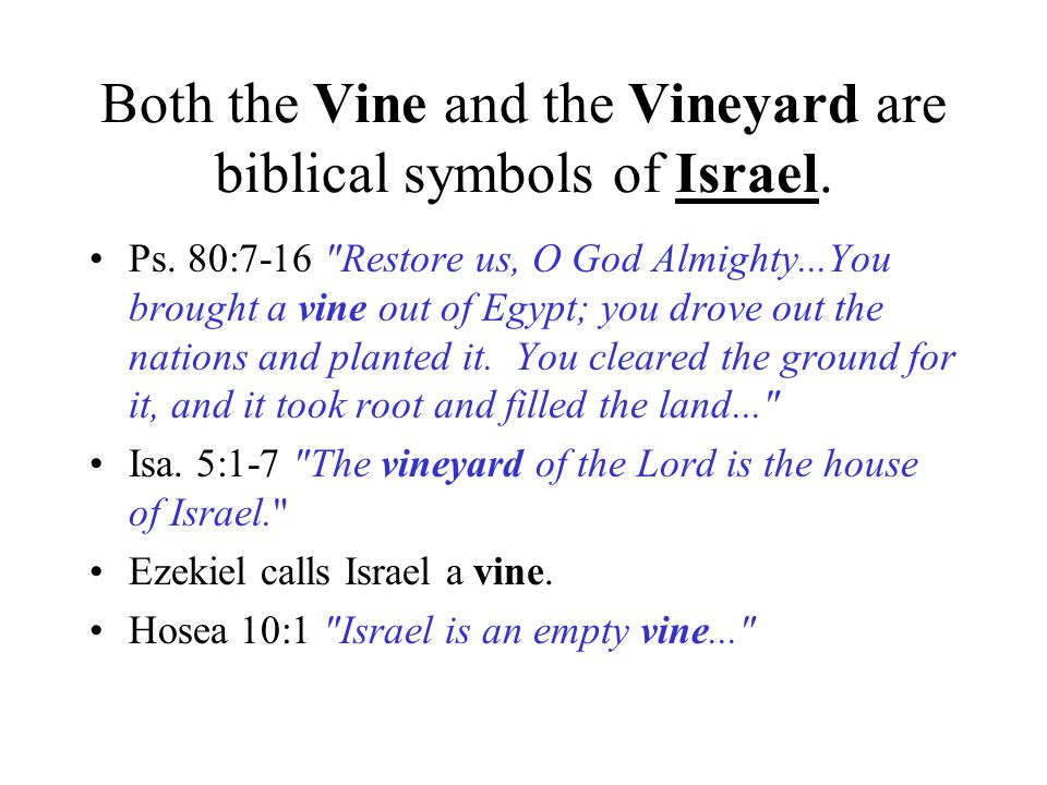 Both the Vine and the Vineyard are biblical symbols of Israel.