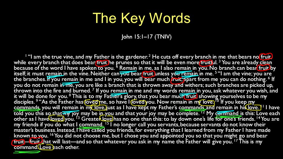 The Key Words John 15:1–17 (TNIV) 1 I am the true vine, and my Father is the gardener.