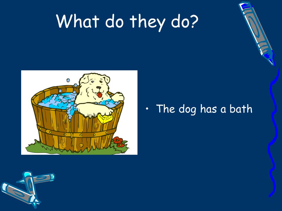 What do they do The dog has a bath