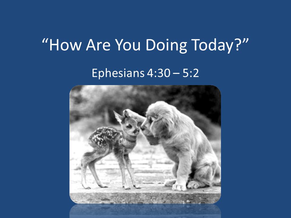 How Are You Doing Today Ephesians 4:30 – 5:2