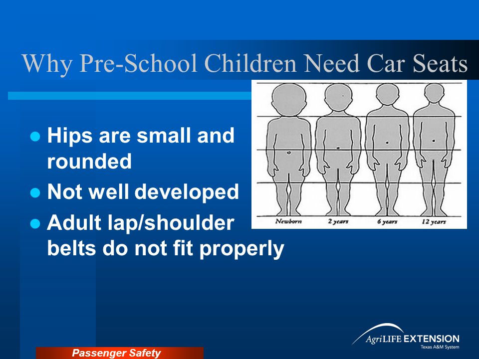 Passenger Safety Why Pre-School Children Need Car Seats Hips are small and rounded Not well developed Adult lap/shoulder belts do not fit properly