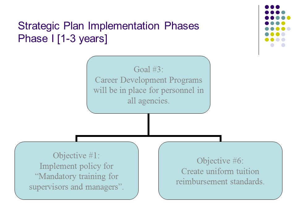 Strategic Plan Implementation Phases Phase I [1-3 years] Goal #3: Career Development Programs will be in place for personnel in all agencies.