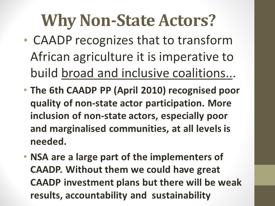 Why Non-State Actors.