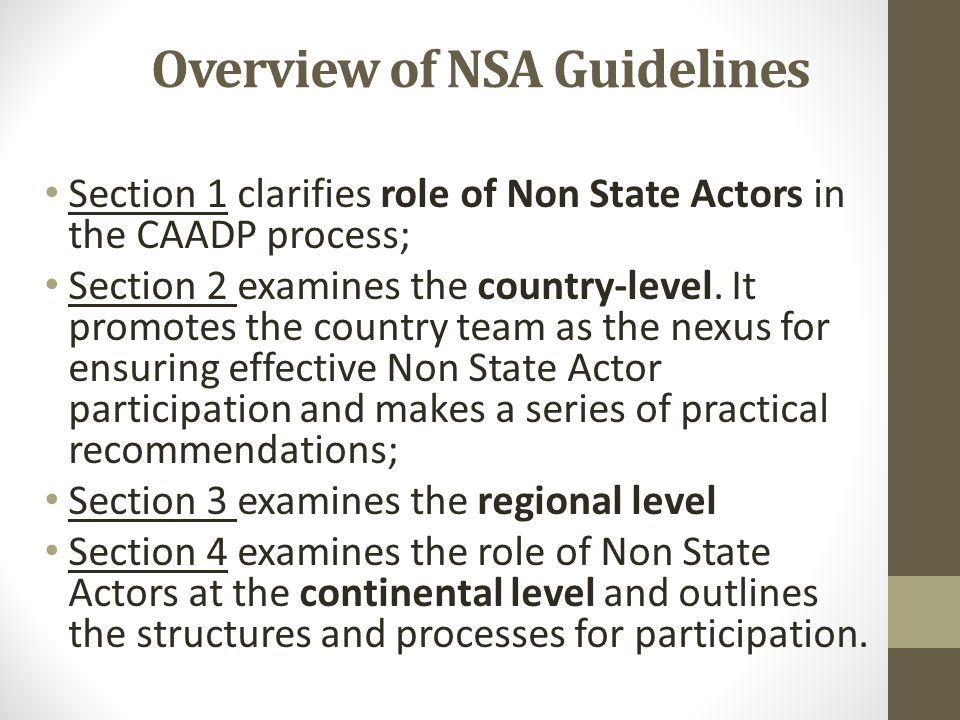 Overview of NSA Guidelines Section 1 clarifies role of Non State Actors in the CAADP process; Section 2 examines the country-level.