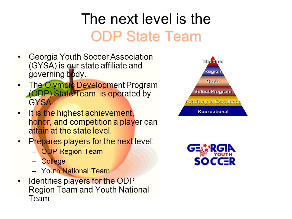 ODP State Team The next level is the ODP State Team is our stateGeorgia Youth Soccer Association (GYSA) is our state affiliate and governing body.