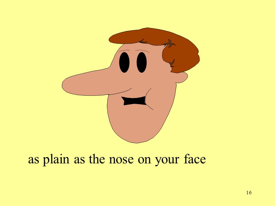 Большой нос по английски. As Plain as the nose on your face. Длинный нос по английски. Нос по английски. Plain face.