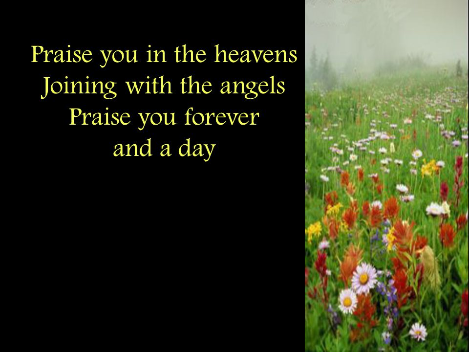 Praise you in the heavens Joining with the angels Praise you forever and a day
