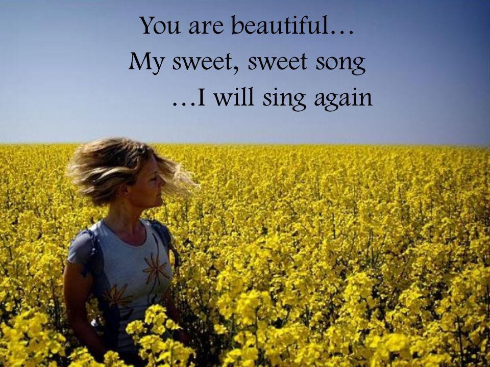You are beautiful… My sweet, sweet song …I will sing again