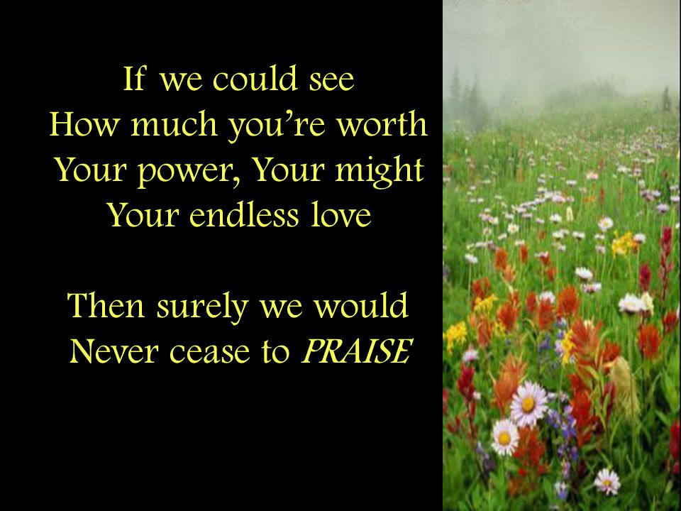 If we could see How much you’re worth Your power, Your might Your endless love Then surely we would Never cease to PRAISE