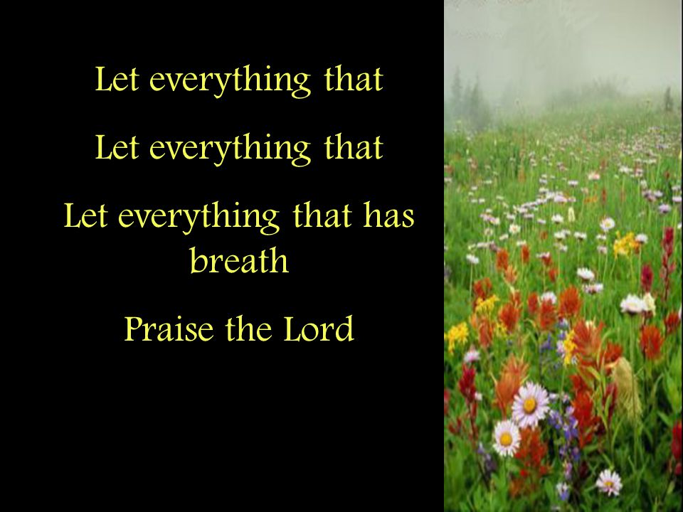 Let everything that Let everything that has breath Praise the Lord
