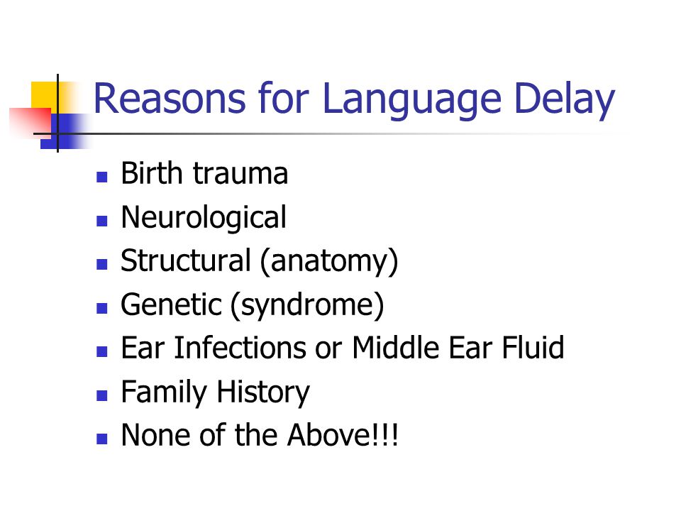 Reasons for Language Delay Birth trauma Neurological Structural (anatomy) Genetic (syndrome) Ear Infections or Middle Ear Fluid Family History None of the Above!!!